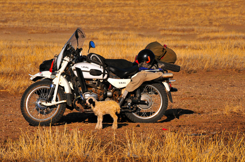 Mongolia